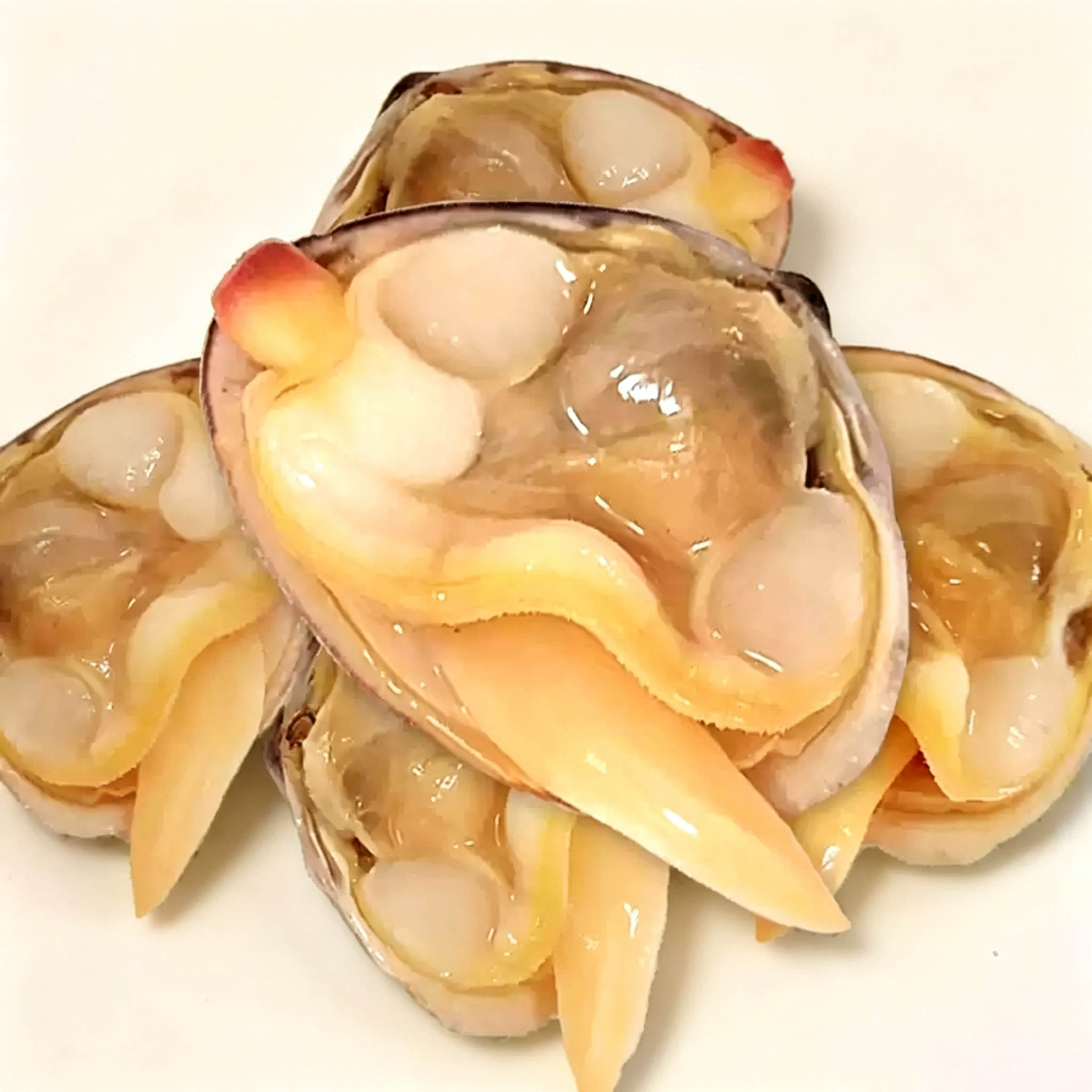 Dandong Large Yellow Clams