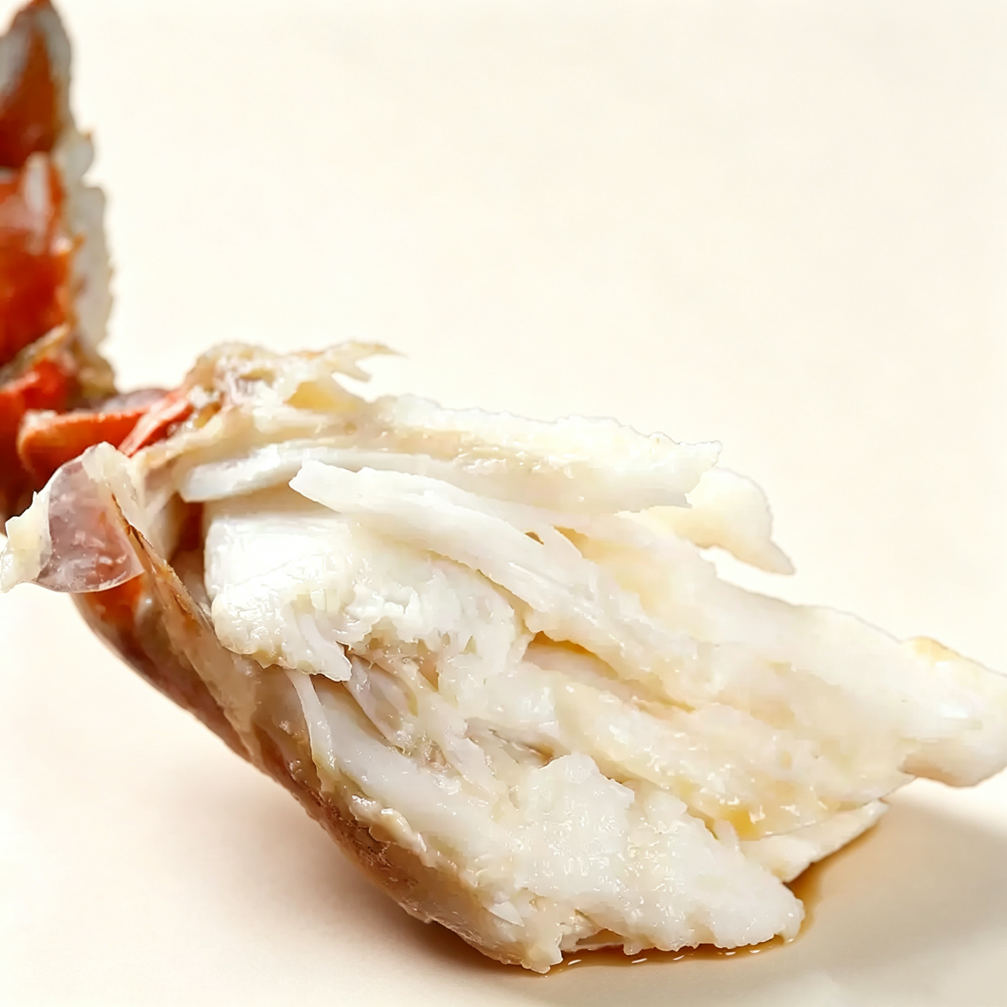 Fresh Swimming Crab